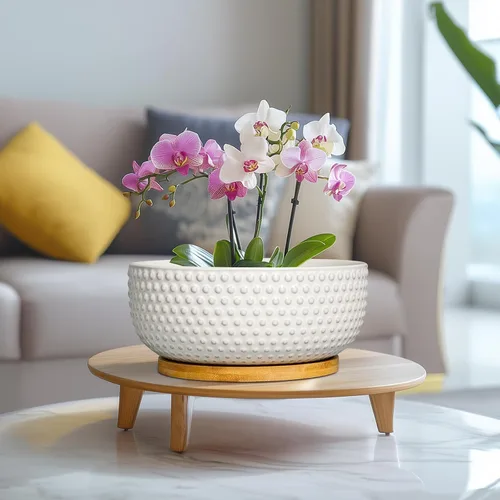 Miniatura 6 de Macetas para suculentas de 8 pulgadas - Macetas de bonsái de cerámica para plantas de interior, maceta con agujero de drenaje y platillo, maceta