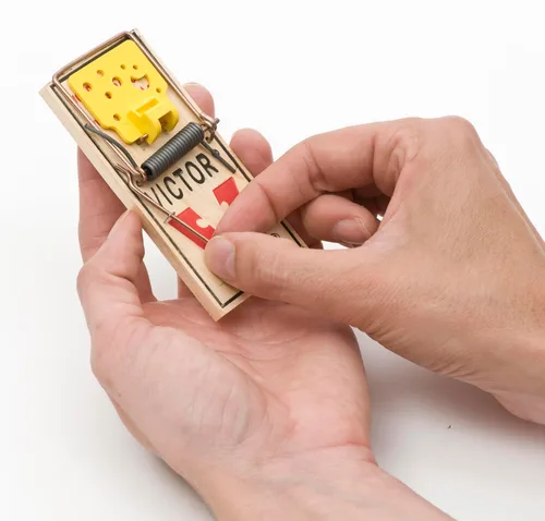 Miniatura 8 de VICTOR Trampa para ratones fácil de instalar, 2