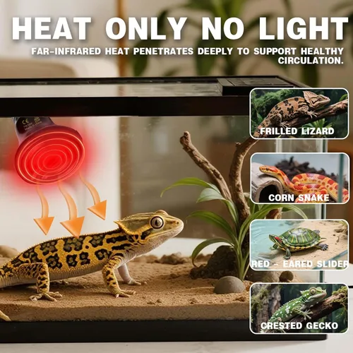 Miniatura 2 de 25W Lámpara de Calor para Reptiles (Paquete de 2) Emisor de Calor Cerámico - Sin Emisión de Luz, Calefacción Segura 24/7 para Terrarios, Incubadoras