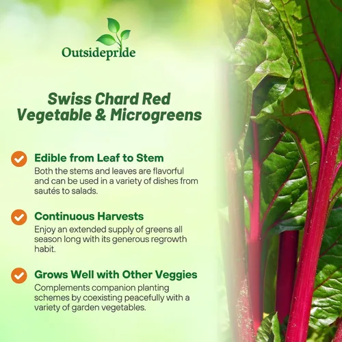 Miniatura 3 de Outsidepride Semillas de acelgas rojas para plantar verduras y microverdes, 1000 piezas de semillas vegetales bienales vibrantes, sabrosas