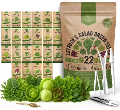 Miniatura 8 de Organo Republic Paquete de variedad de semillas de lechuga y verduras para ensalada de 15 tipos, más de 17700 semillas de lechuga autóctonas sin OGM