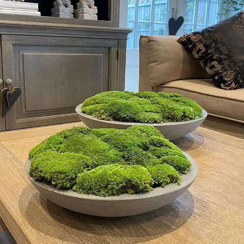 Miniatura 3 de FAICOIA Almohada de musgo preservado a granel verde natural preservado para plantas en maceta, 2.5 pies cuadrados, bolas de musgo verde