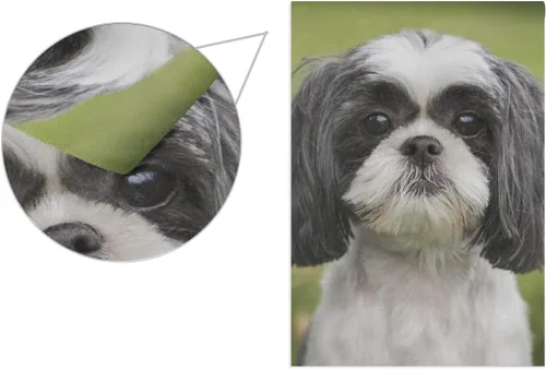 Miniatura 3 de Hokkien Hermosa bandera de jardín de perro Shih Tzu de doble cara de 12 x 18 pulgadas, banderas decorativas de jardín pequeñas, decoración de césped