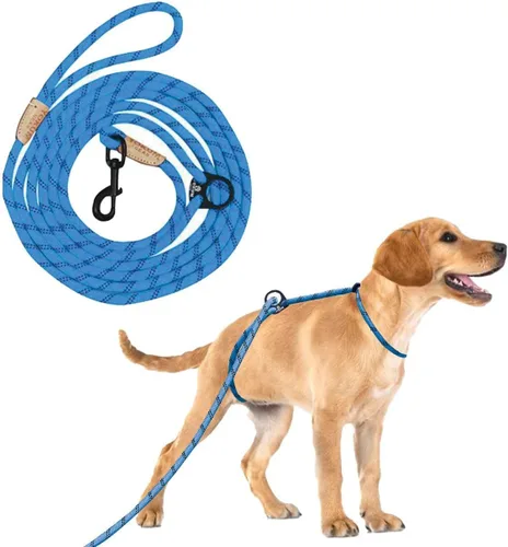 Miniatura 9 de Correa larga de 12 pies para perro, sin tirones, sin estrangulamiento, antitirones, para caminar, doble gancho y a prueba de escapes para todas