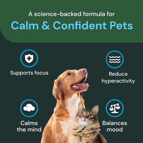 Miniatura 4 de VetriScience Masticables de fuerza veterinaria calmados y seguros, suplemento de estrés para gatos, apoya la función cerebral para gatos