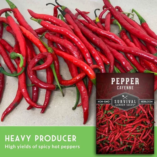 Miniatura 5 de Semillas de pimienta de cayena para plantar Variedad de reliquia caliente con 30,000 a 50,000 Scoville Heat - Semillas de jardín de supervivencia