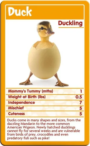 Miniatura 2 de Juego de cartas Baby Animals Top Trumps