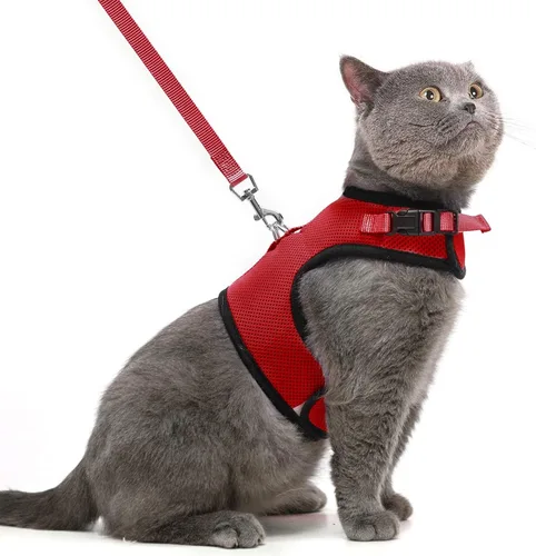 Miniatura 18 de PUPTECK Juego de arnés y correa de malla suave para gatos, arnés acolchado para mascotas, a prueba de escape, para gatos, perros pequeños, conejos