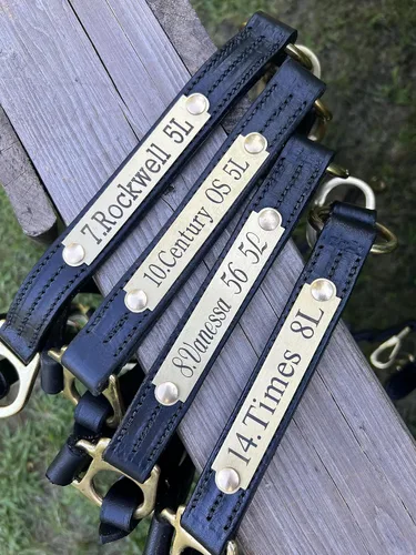 Miniatura 2 de Leaders - Cabestro de cuero para caballos con placa de nombre grabada personalizada, cabestro para caballo, negro/latón