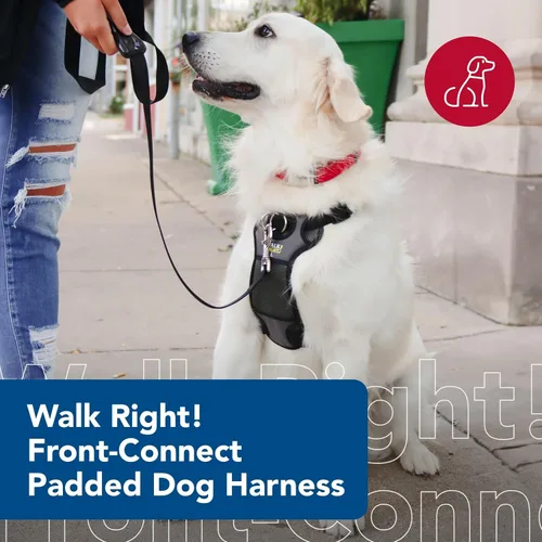 Miniatura 3 de Coastal Pet Walk Right - Arnés acolchado para perro con conexión frontal y sin tirones, ajustable y cómodo, ajuste para razas pequeñas y grandes