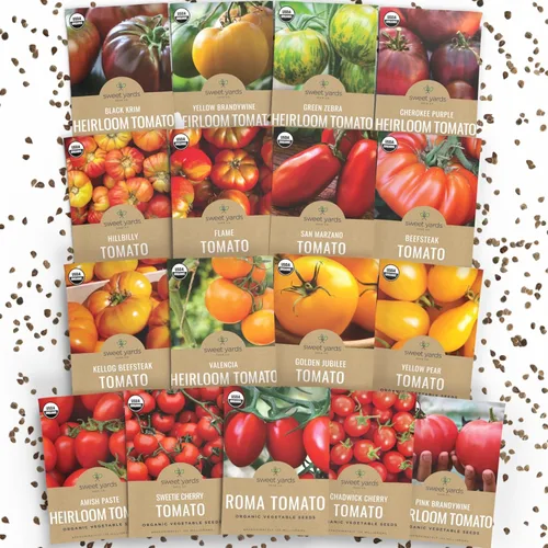 Miniatura 9 de Paquete variado de semillas de tomate orgánicas tradicionales – 9 paquetes de semillas: Brandywine rosa, Roma, cebra verde, piña, Hillbilly, Krim