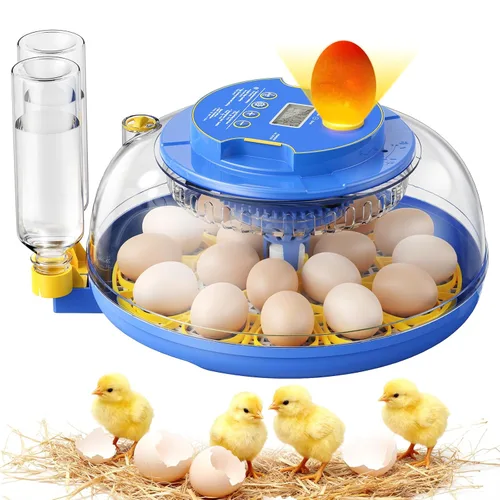 18 incubadoras de huevos para incubar huevos, vista de 360° con volteo automático de huevos y control de humedad, ovoscopio integrado para incubar