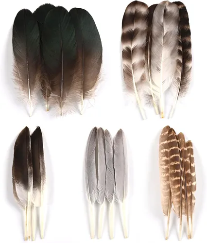 Miniatura 2 de MAOFENG 20 plumas naturales de faisán, 5 estilos de 5 a 9 pulgadas, 5.1-9.1 in para manualidades, boda, hogar, fiesta, sombrero, arreglos florales