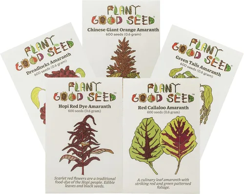 Miniatura 5 de Plant Good Seed Semillas orgánicas de tinte rojo hopi para plantar: hojas comestibles y semillas negras, flores rojas escarlatas, paquete de 600