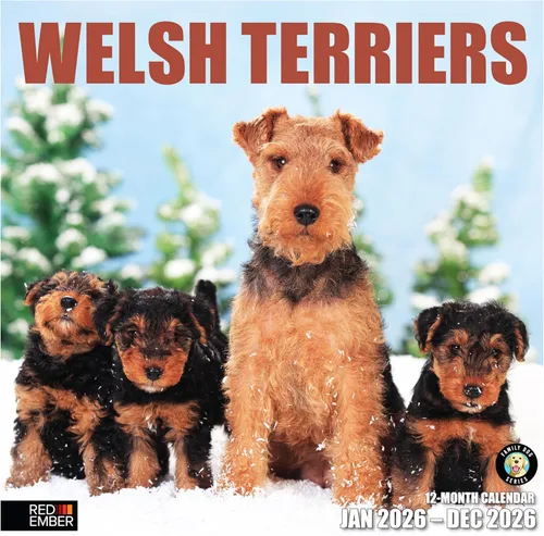 Miniatura 8 de RED EMBER Beagles - Calendario de pared 2025 de 12 meses, 12 x 24 pulgadas, abierto, papel grueso y resistente, para regalo, calendario 2025