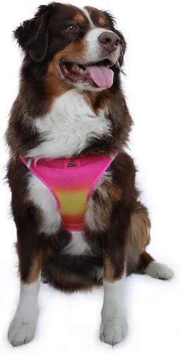 Arnés reflectante para perro, ultra ahogante, sin estrangulamiento, estilo río americano, degradado, rosa frambuesa, naranja (XXXL)