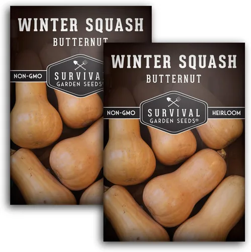 Miniatura 11 de Semillas de calabaza Butternut para plantar - Semillas de vegetales tradicionales no transgénicos - Cultivo de alto rendimiento y fácil de cultivar