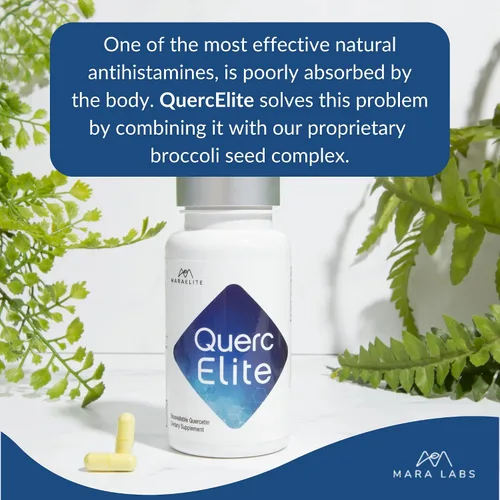 Miniatura 4 de Mara Labs QuercElite Quercetina biodisponible 350 mg de quercetina y 250 mg de complejo de semillas de brócoli 30 cápsulas veganas