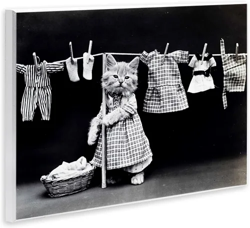 Miniatura 2 de Stupell Industries Kitten Does The Laundry - Placa de pared artística, fabricada con orgullo en Estados Unidos, 10 x 15 pulgadas