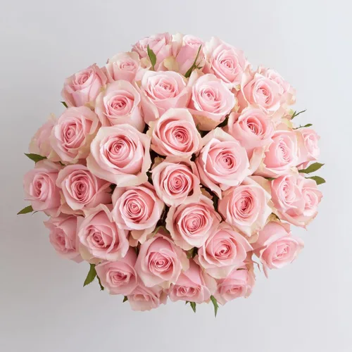Miniatura 9 de GlobalRose Ramo de 36 rosas rojas, rosas de origen responsable, flores frescas, ramo fresco de flores seleccionadas a mano para graduación, Rojo