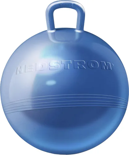 Miniatura 10 de Hedstrom Pelota Saltarina Azul de 15