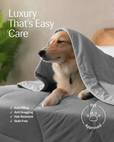 Miniatura 7 de REST Compre 2 OBTENGA 35 por ciento de descuento: Evercool Comforter Plus 3PC Starter Sheet Bundle, en gris claro, tamaño King