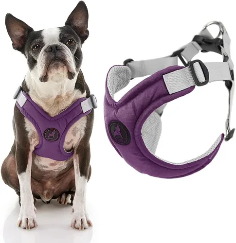 Miniatura 6 de Gooby Arnés de espuma viscoelástica para perros pequeños, sin tirones, con marco en X patentado sin estrangulamiento, perfecto para perros medianos