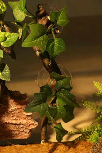 Miniatura 9 de AQUA KT Rama de Esquina de Terrario de Reptiles con Planta Decorativa y Ventosa para Anfibios, Lagartos y Serpientes Trepadoras Rama de escalada
