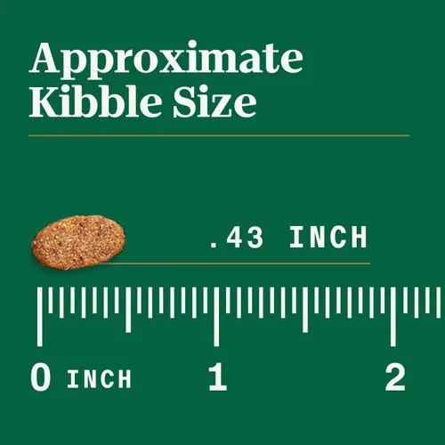Miniatura 12 de Nutro Alimento seco para cachorros ultra alto en proteínas, trío de proteínas de pollo, cordero y salmón, bolsa de 3.5 libras