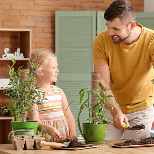 Miniatura 7 de Pisol Poste de musgo para plantas Monstera, soporte extensible, estacas para plantas en maceta de interior, enrejado de poste de fibra de coco