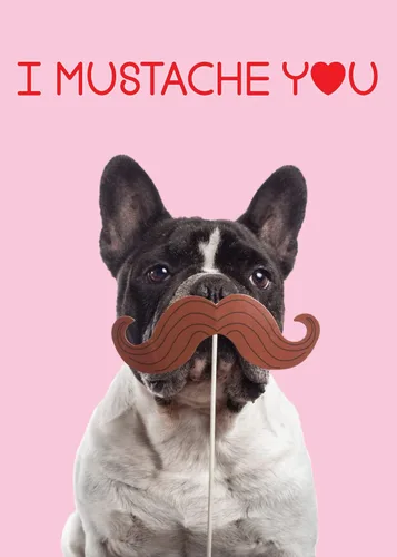 Miniatura 9 de Glory To Dog A Little Valentine's Toast - Tarjeta de felicitación con sobre de correo para tarjetas de felicitación
