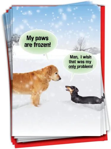 Miniatura 8 de NobleWorks Paquete a granel de 36 tarjetas de felicitación divertidas de Navidad con sobres, tarjetas divertidas en caja para perros y mujeres