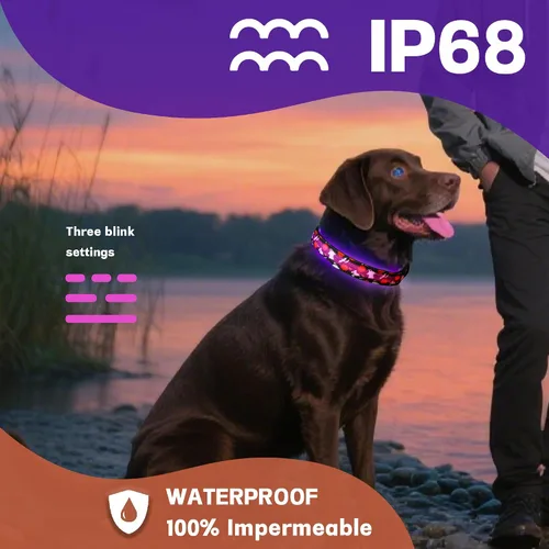 Miniatura 3 de DOGWONG Collar de perro con luz LED para Halloween, recargable e impermeable, collares de perro iluminados para otoño para caminar por la noche