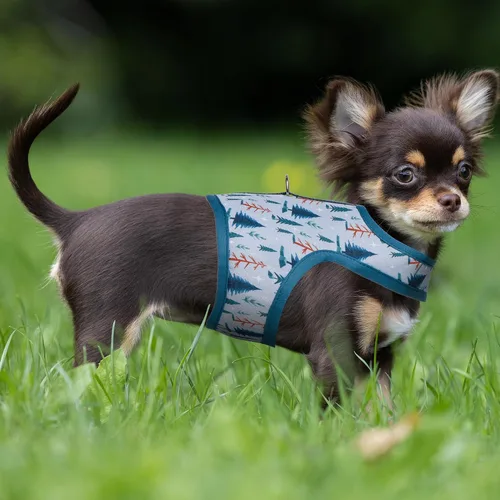 Miniatura 7 de Mile High Life Arnés para perro, chaleco floral de malla de aire para perros y gatos pequeños de 20 libras, fácil de poner, cierre fácil ajustable