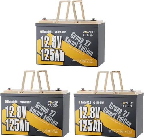 Miniatura 18 de Power Queen Paquete de 2 baterías LiFePO4 de 12 V 100 Ah, BMS integrado de 100 A, batería de litio de 2560 Wh, hasta 15000 ciclos, soporte