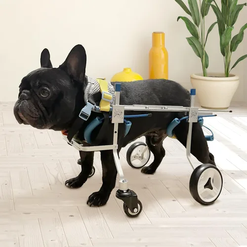 Miniatura 7 de Silla de ruedas ajustable para perros con cuatro ruedas, remolque de bicicleta de movilidad ligera para mascotas discapacitadas, fácil de montar