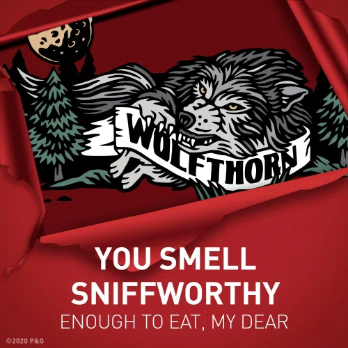 Miniatura 6 de Old Spice Wild Collection Wolfthorn Scent - Desodorante antitranspirante sólido invisible para hombre, 2.6 onzas (paquete de 4)