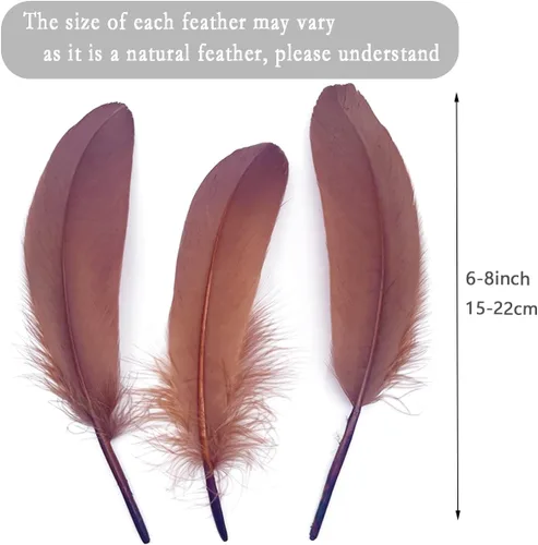 Miniatura 2 de 100 plumas de ganso marrón de 6 a 8 pulgadas para decoración de otoño, manualidades, ropa de cosplay, sombreros, accesorios, atrapasueños, Café