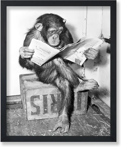 Poster Master Póster de Chimpancé - Impresión de Mono Leyendo Periódico - Arte de Pared de Mono - Regalo para Hombres, Mujeres y Amantes de los