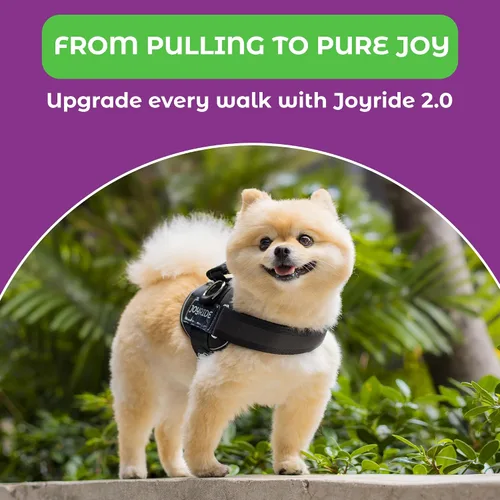 Miniatura 7 de Joyride Harness 2.0 - El Arnés Original para Perros Sin Tirones con Anillo Lateral - Sin Estrangulamiento, A Prueba de Escapes, Reflectante, 3 Clips