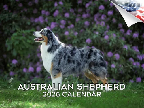 Miniatura 145 de Calendario 2025 2026 de cachorros Cocker Spaniel - Calendario mensual de pared de raza de perro - 12" x 24" abierto - Papel grueso sin sangrado