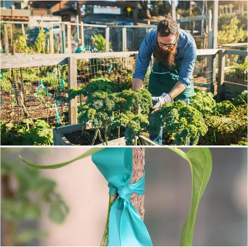 Miniatura 6 de TELENT OUTDOORS Cinta de amarre elástica, 1 pulgada de ancho y 200 pies, reutilizables, para plantas de jardín, cintas verdes para plantas, cinta
