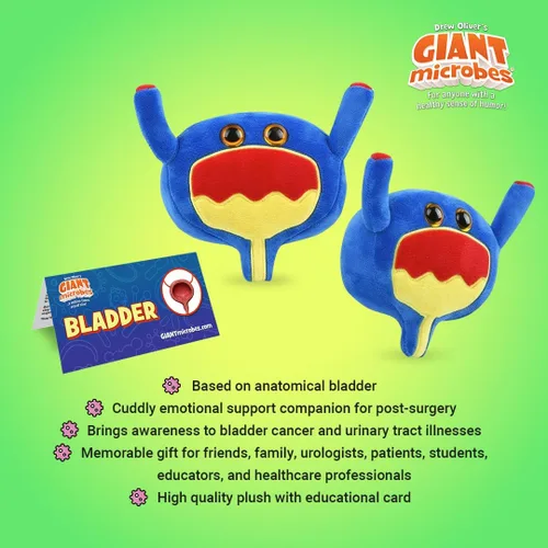 Miniatura 3 de GIANT MICROBES Peluche de vejiga, regalos de mordaza de urología, conciencia sobre el cáncer de vejiga, peluches de órgano, conciencia del cáncer