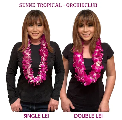 Miniatura 3 de Miami Fresh Orchid Flower OrchidClub USA Sunne Tropical Cabeza de floración suelta DIY Lei comida bebida decoración púrpura (2 x 50 púrpura)