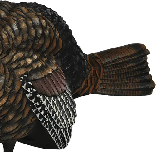 Miniatura 5 de Avian X LCD 1/2 Strut Jake - Señuelo de pavo