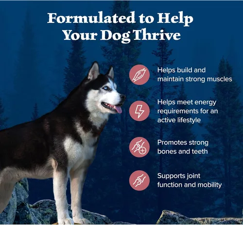 Miniatura 4 de Blue Buffalo Wilderness - Alimento seco natural con alto contenido proteínico y cereales saludables para perros adultos, salmón, bolsa de 4.5 libras