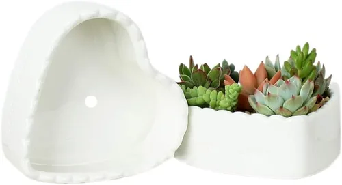 Miniatura 2 de Macetas suculentas de cerámica blanca pura en forma de corazón.