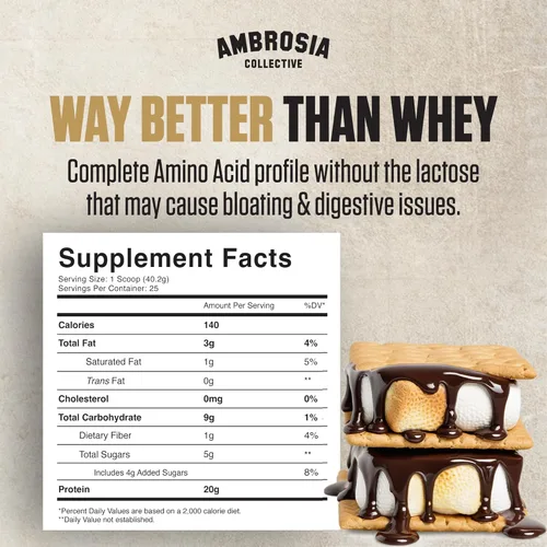 Miniatura 2 de Ambrosia Planta - Polvo de proteína a base de plantas 20g Polvo de proteína vegana sin lácteos con aminoácidos BCAA Apto para dieta cetogénica