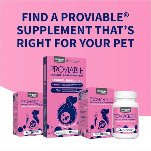 Miniatura 11 de Nutramax Proviable Probióticos para Perros y Gatos, Suplemento Diario para la Salud Digestiva con Múltiples Cepas de Bacterias, Probióticos