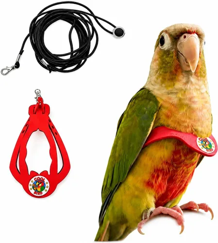 Miniatura 27 de Juego de arnés ajustable y correa para pájaros pequeños, apto para periquitos, conures, cacatúas, mejillas verdes, loros cuáqueros (verde, XS) 6350-6